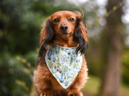 "Solid Color" Dog Bandana