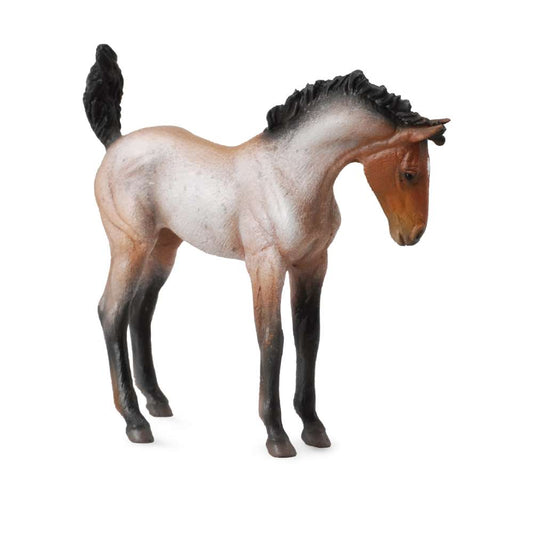Mustang Foal Bay Roan