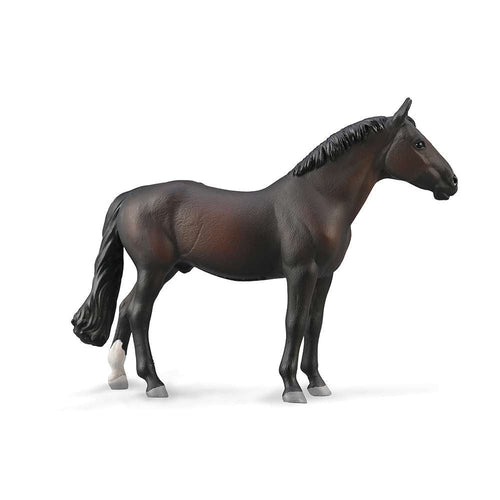 Holsteiner Stallion - Bay